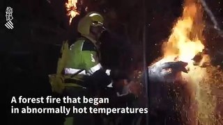 Spanish firefighters battle forest blaze in Alicante