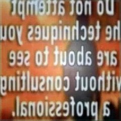 The Dog Whisperer Season 3 Episode 15 Dasher, Riley And Fosse