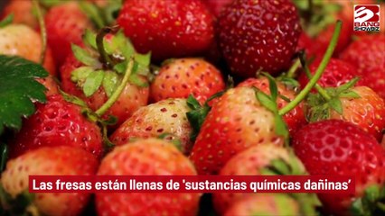 Las fresas están llenas de 'sustancias químicas dañinas'