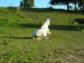 trop bon la prairie;-)