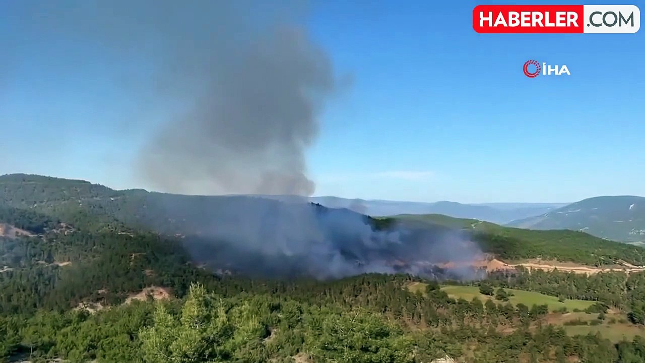 Sinop'ta orman yangını