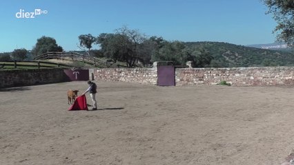 Tendido Diez (14x62) (12-01-2024)