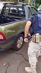 PRF apreende mais de 50 quilos de cocaína em Cambé