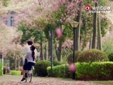 Hidden Love Saison 1 - Sang Zhi and Duan Jia Xu || Zhao Lusi and Chen Zhe Yuan ( Hidden Love) trailer (EN)