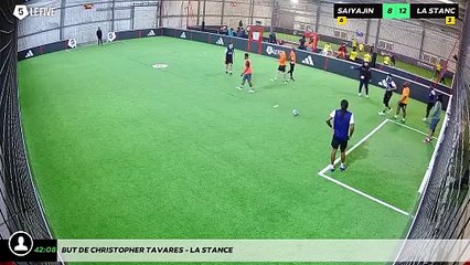 But de Christopher TAVARES - La stance