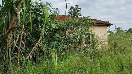 CASA ABANDONADA, FOI PERIGOSO DESBRAVAR AQUELE MATAGAL TODO