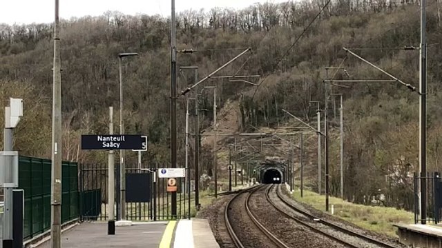 TER Grand Est SNCF - Passage d’un Coradia Liner Carmillon à Nanteuil - Saâcy (77)