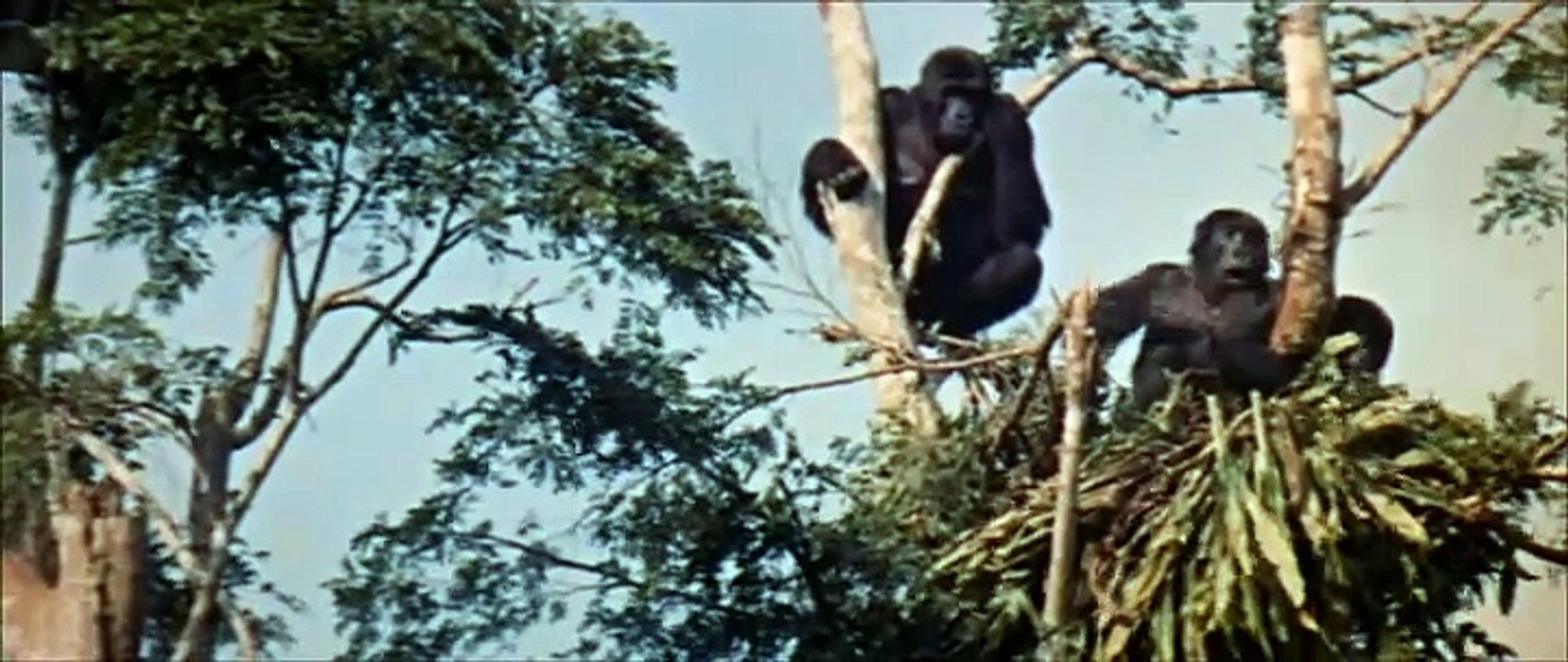 Der Stern des Südens (1969) stream deutsch anschauen