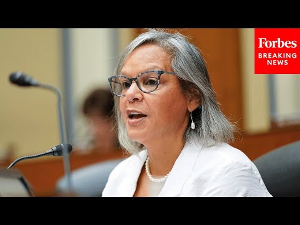 Robin Kelly Raises Alarm On 'An Incentive For Social Media Companies Not To Act' On Harmful Content