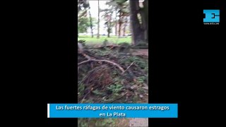 Las fuertes ráfagas de viento causaron estragos en La Plata
