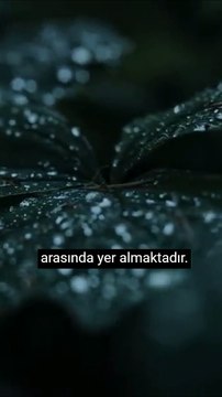 Niximera Yazılım - İşletmeler için yazılım geliştirme hizmetleri