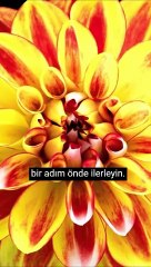 Niximera Yazılım - %30 indirim