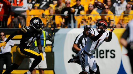 Steelers' Higgins Trade Talks with Bengals Fall Through