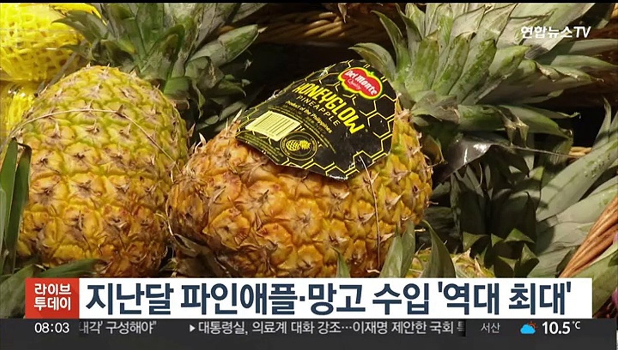 지난달 파인애플·망고 수입 '역대 최대'