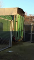 Petit pincement au cœur de te dire au revoir ❤️