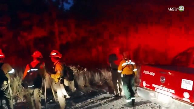 Detectan pirómanos en el Bosque La Primavera