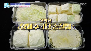 [TASTY] There's nothing to throw away! How to eat cabbage frugally!,기분 좋은 날 240416