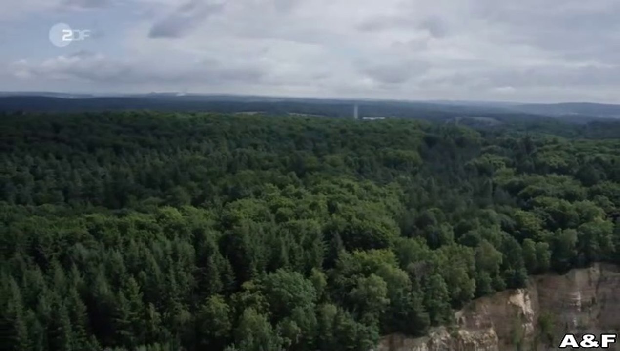 In Wahrheit -03- Still ruht der See