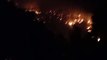 Incendio forestal consume varias hectáreas de bosque en Lepaterique