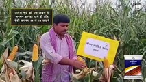 Success Story: Shriram 5511 Hybrid Corn in Sangrampur, Bihar