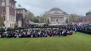 Pro-Palestine protesters occupy Columbia university lawn as arrests made