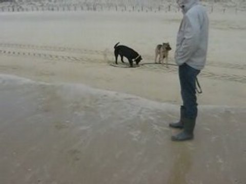 MVI_4237 Porto Appolon