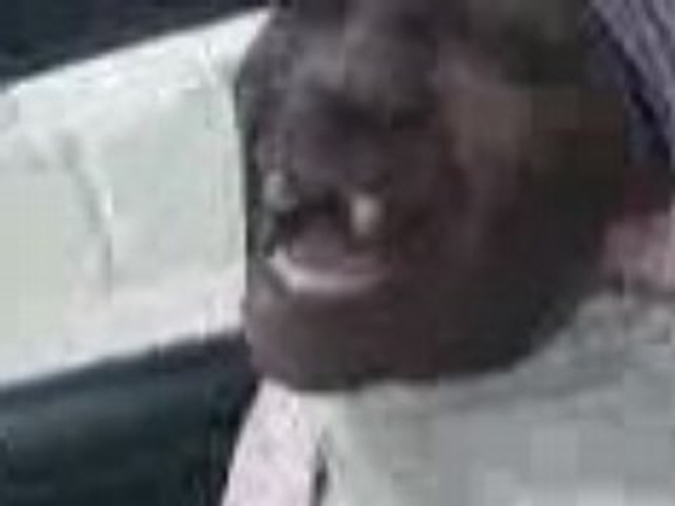 The rire!!