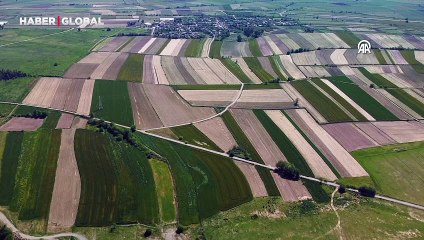 Çukurova'da dronla görüntülenen tarlalar güzel görüntüler oluşturdu