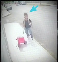 Mr.bin的这个内容太有意思了，分享给你，快点开看看！