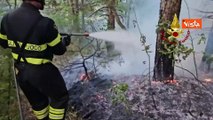 Incendio boschivo in provincia di Forl?, l'intervento dei Vigili del Fuoco