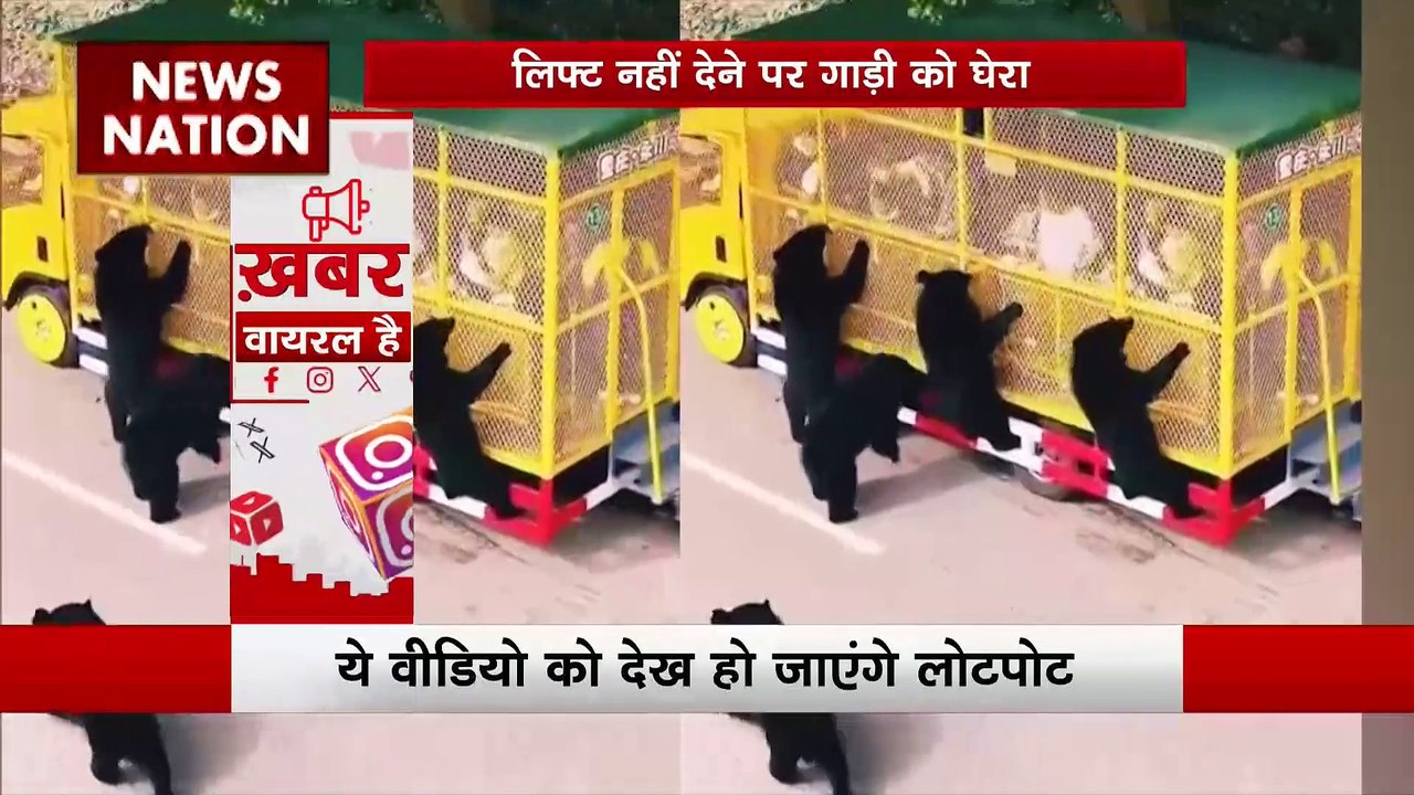 Khabar Viral Hai: देखे देश और दुनिया की सभी वायरल खबरें Khabar Viral Hai में