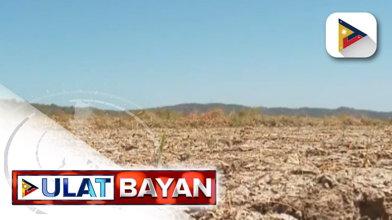 Netizens, nananalangin para sa ulan ngayong tag-init - video Dailymotion