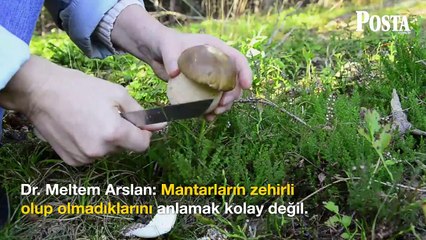 Türkiye'de bolca var ama zehir saçıyor! 100 çeşidi olan bu besin organları çürütüp ölüme kadar götürüyor