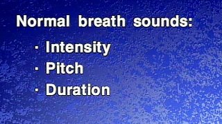05 Normal Breath Sounds