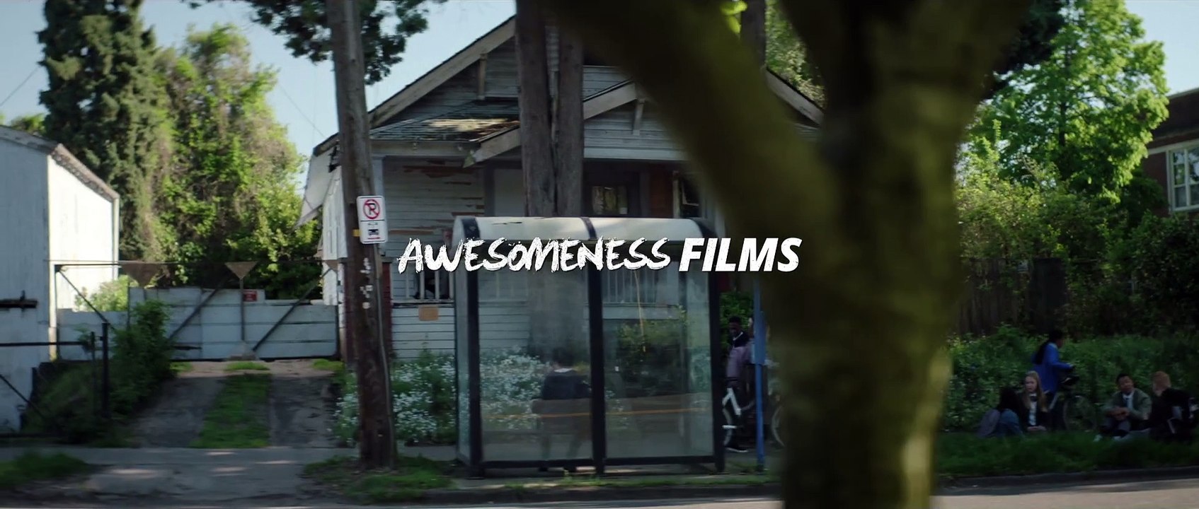 Little Wing Trailer DF