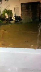 Videos de las inundaciones en Las Terrenas, Samaná 3/4