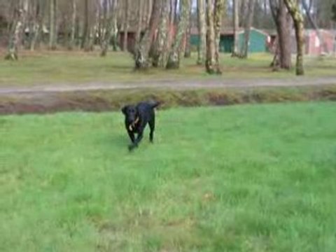 MVI_4281 Porto Appolon