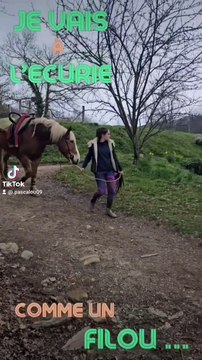 LOL, Filou le Filou...