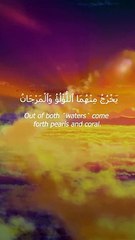 Surah Ar-Rahman - Ayat 22-24