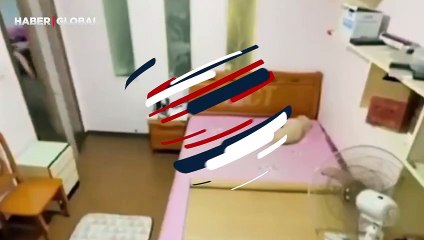 Küçük köpeğin sahibi gittikten sonra yaptıkları şaşırttı