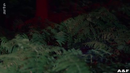 In Wahrheit -05- In einem anderen Leben: Entdecken Sie die faszinierende Geschichte