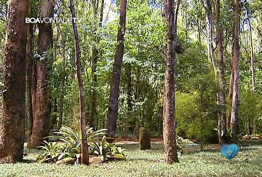 Oração Nossa - Emmanuel - orações de Paz #14