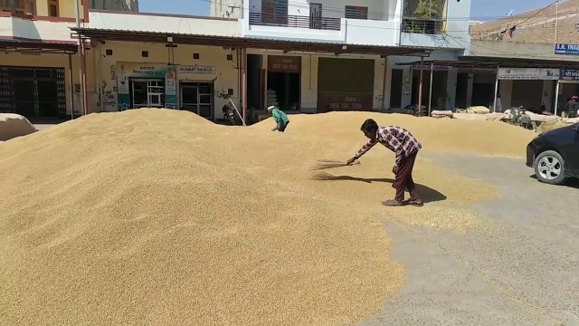 Farmers are worried due to glitter, ministry team will come today to collect samples