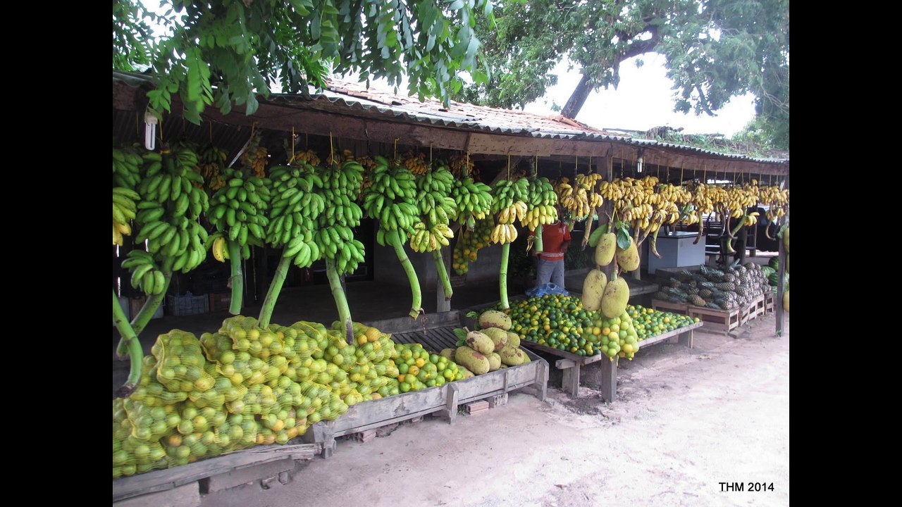 (151) BRASILIEN Sehenswert 1 | Mata Grosso/do Sul, Goiânia, Brasília, Paraná, Rio Grande, Santa Ana