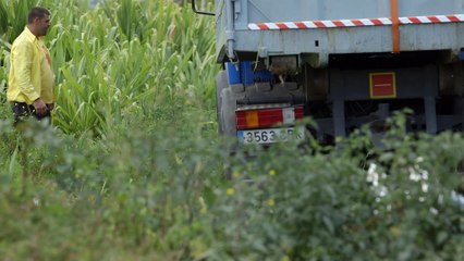 La historia del ron Arehucas