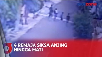 Terekam CCTV, 4 Remaja Siksa Anjing hingga Mati di Jember