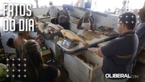 Em Belém, preços de alguns pescados recuam após a Semana Santa