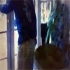 The Dog Whisperer Season 4 Episode 2 Cotton, Ricky & Jordan, And Duke & Lila