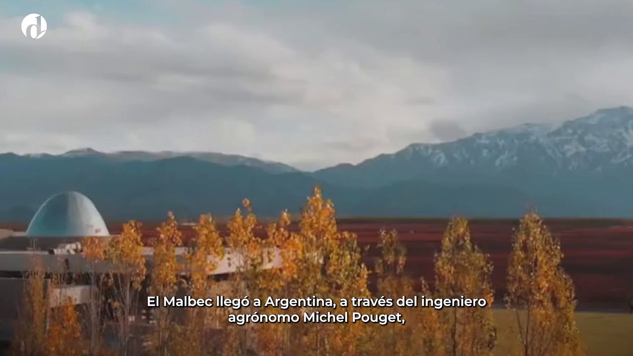 Historia del Malbec
