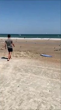 Il réussit à attraper une mouette d'une façon incroyable